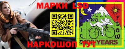 крисы Кингисепп