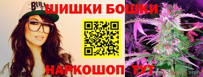 крисы Кингисепп