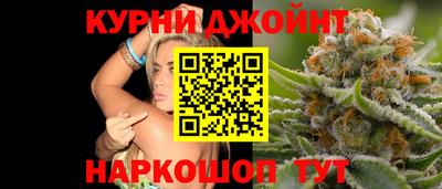 крисы Кингисепп
