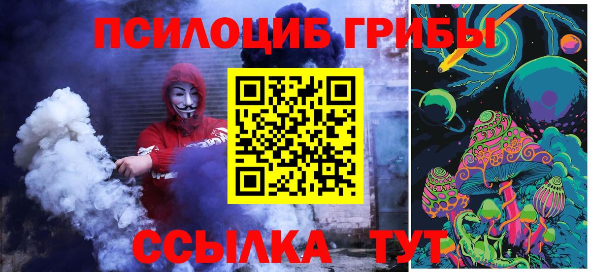 Галлюциногенные грибы Psilocybe  Вход с VPN  Волгодонск 